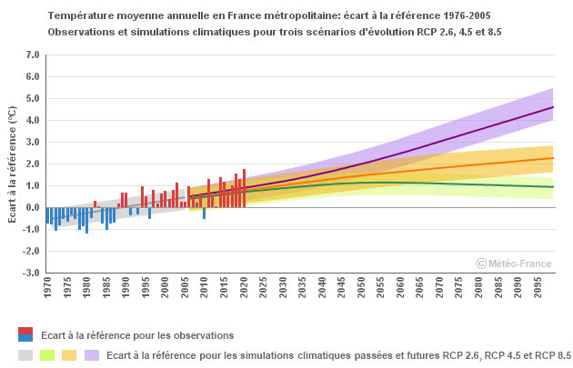 Graphique Moyenne Année