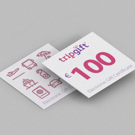 100 EUR Gift Card tripgift.com image