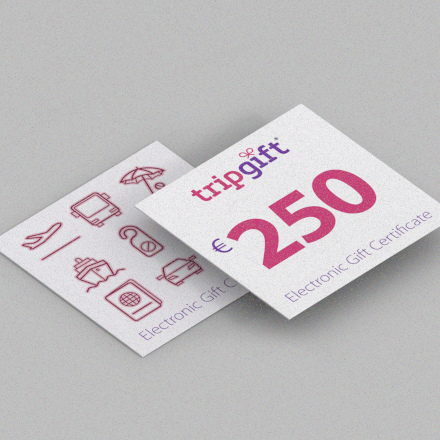 250 EUR подарочная карта tripgift.com image