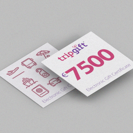 7500 EUR подарочная карта tripgift.com image