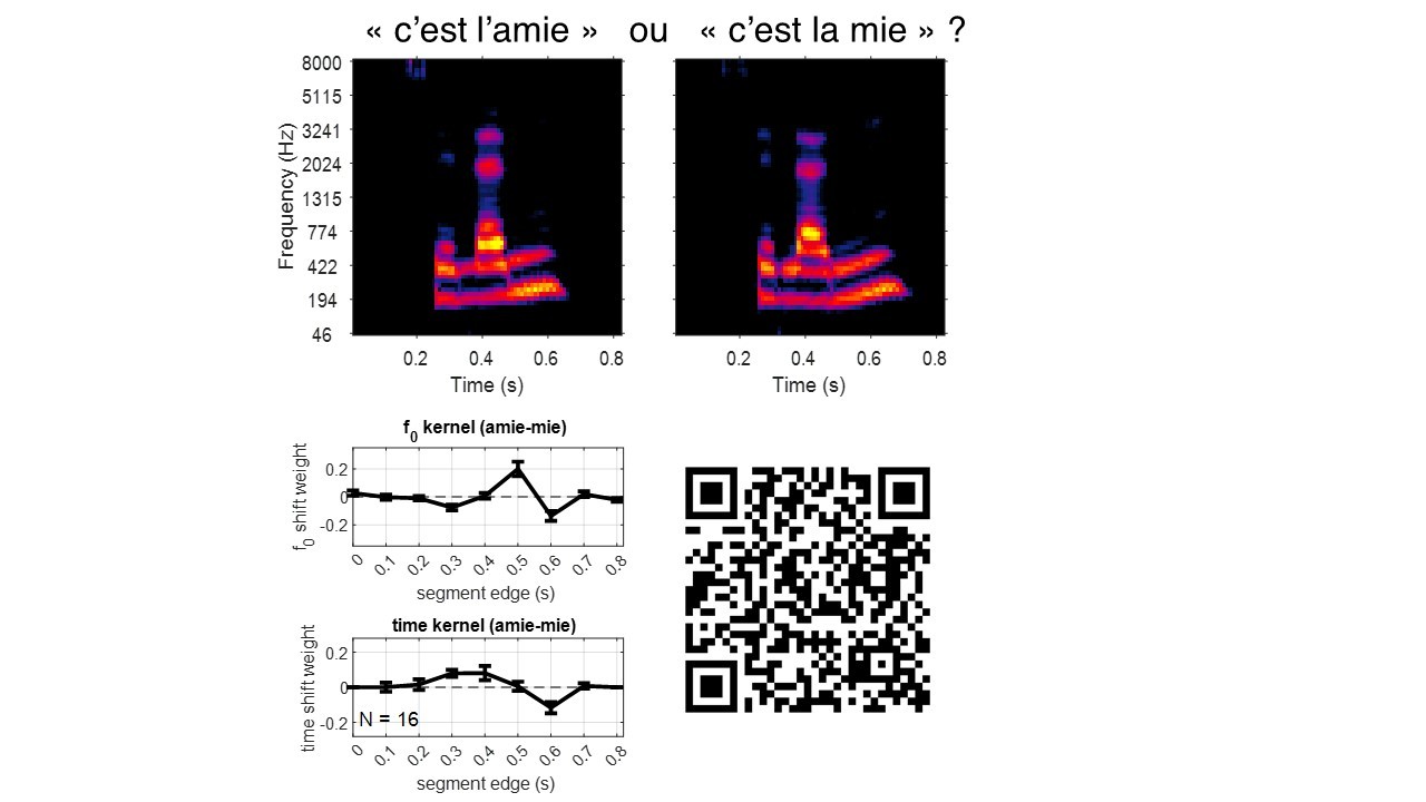 Spectrogrammes des sons "c'est l'amie" et "c'est la mie". Un graphique montrant les résultats d'une expérience sur la segmentation de ces deux sons. Le QR code permet d'écouter une démo audio de ces résultats.