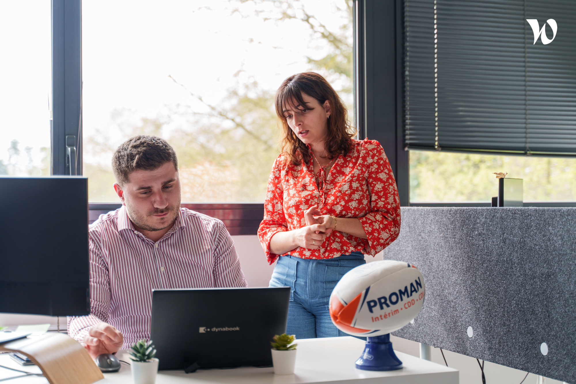 WINSEARCH: Offres, Carrière