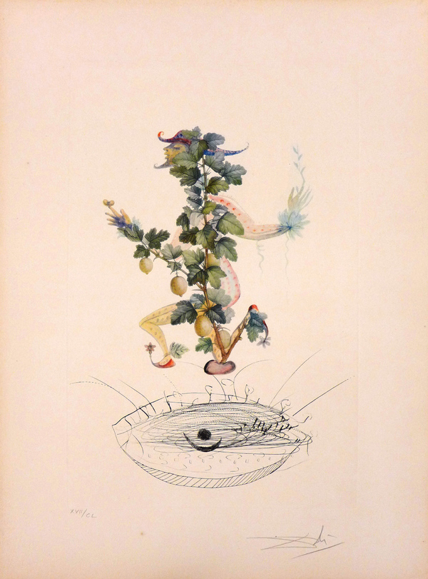 Flordali Les Fruits Reverence Du Groseiller By Salvador Dali
