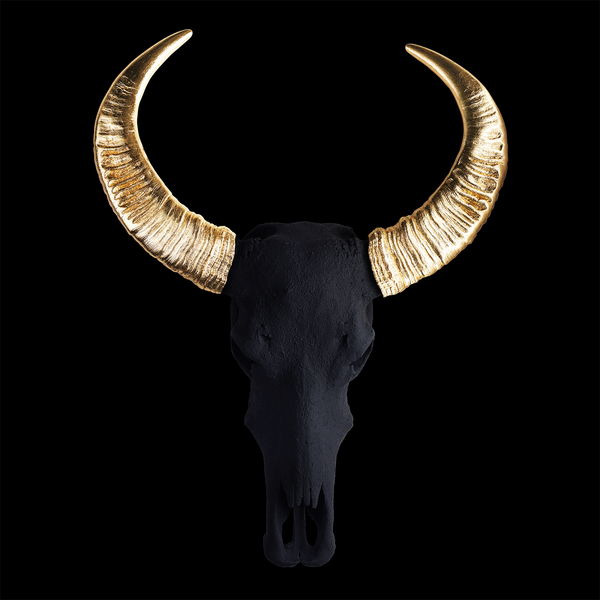 Black And Gold Water Buffalo Skull On Black Print By Angela