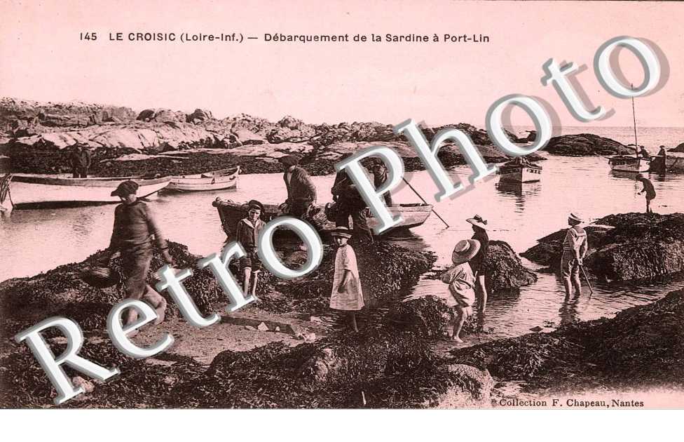 debarquement de la sardine a port lin