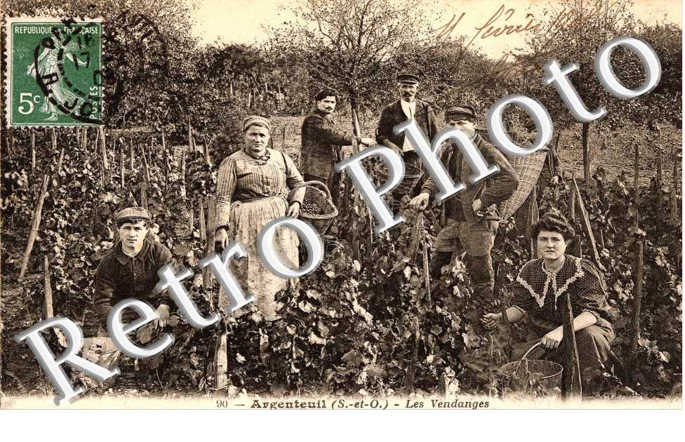 les vendanges