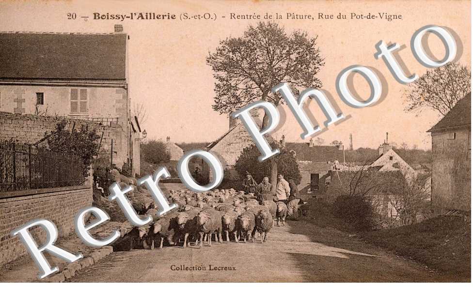 Rentree de la pature - Rue du pot-de-vigne