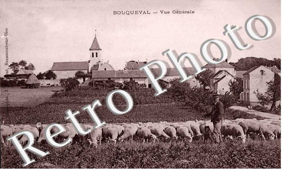 VUE GENERALE (MOUTONS)