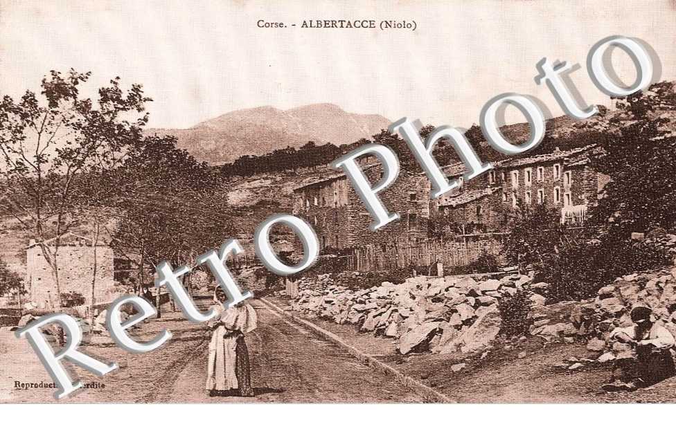 CONSE ALBERTACCE NIOLO