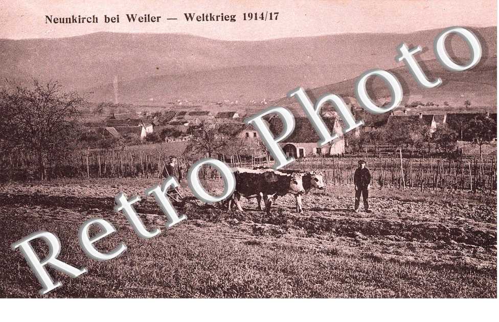 Weltkrieg