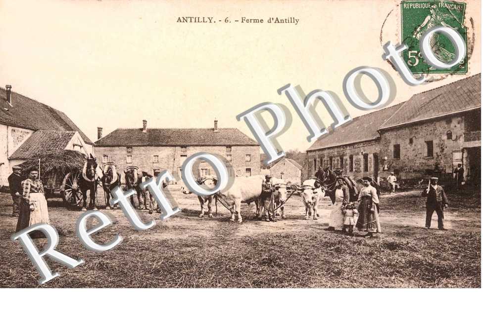 Ferme