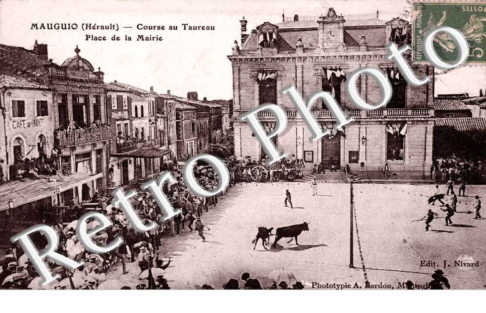 Course au taureau - place de la mairie