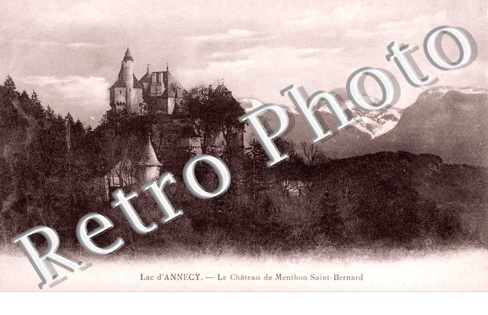 LE CHATEAU DE MENTHON ST BERNARD