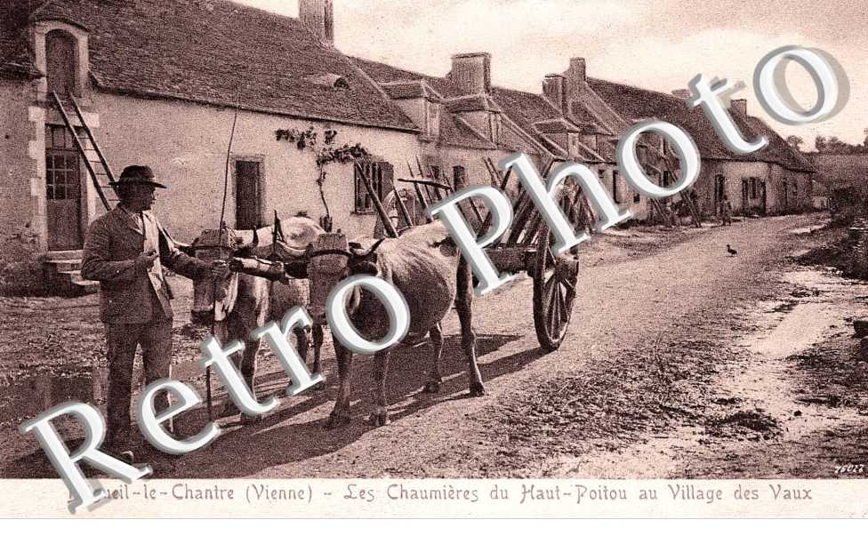 les chaumieres du Haut-Poitou au village des Vaux