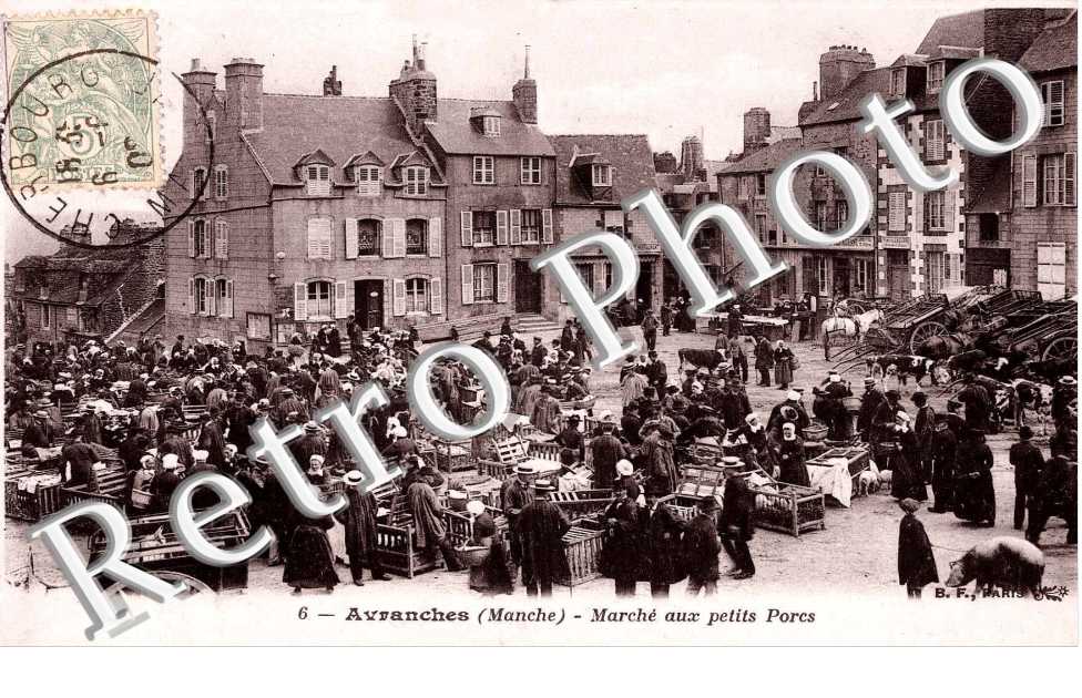 Marche aux petits porcs