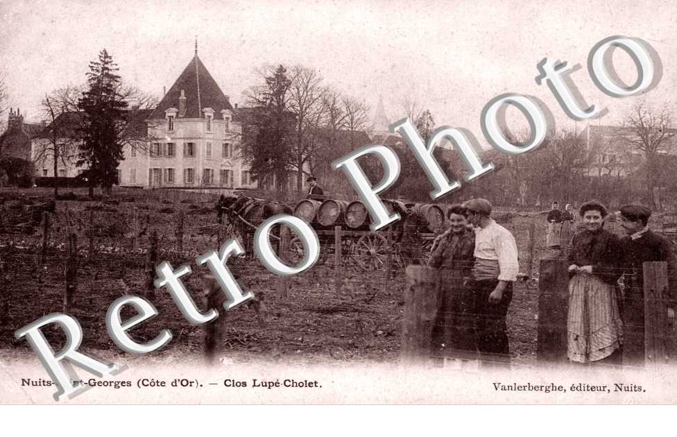 Clos Lupe Cholet