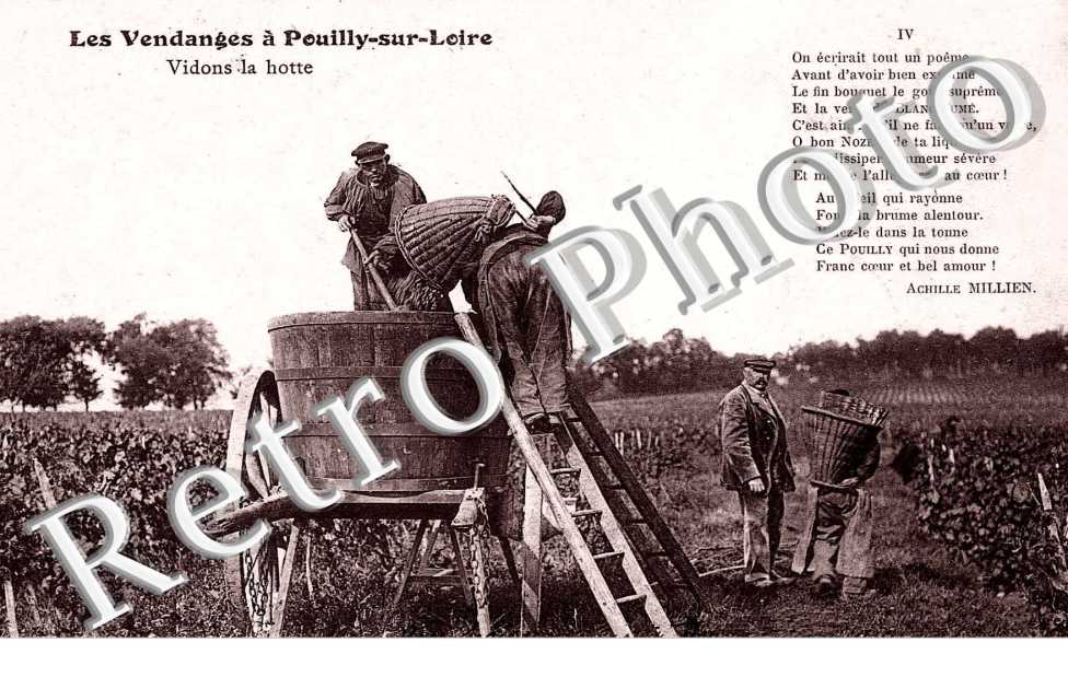 les vendanges Vidons la hotte