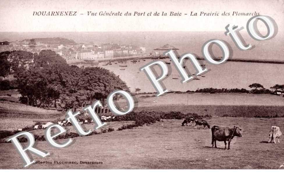 Vue Générale du Port et de la Baie - La Prairie des Plomarchs