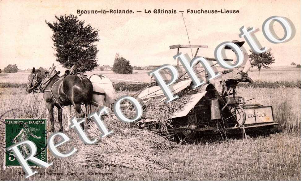 le gatinais, faucheuse lieuse
