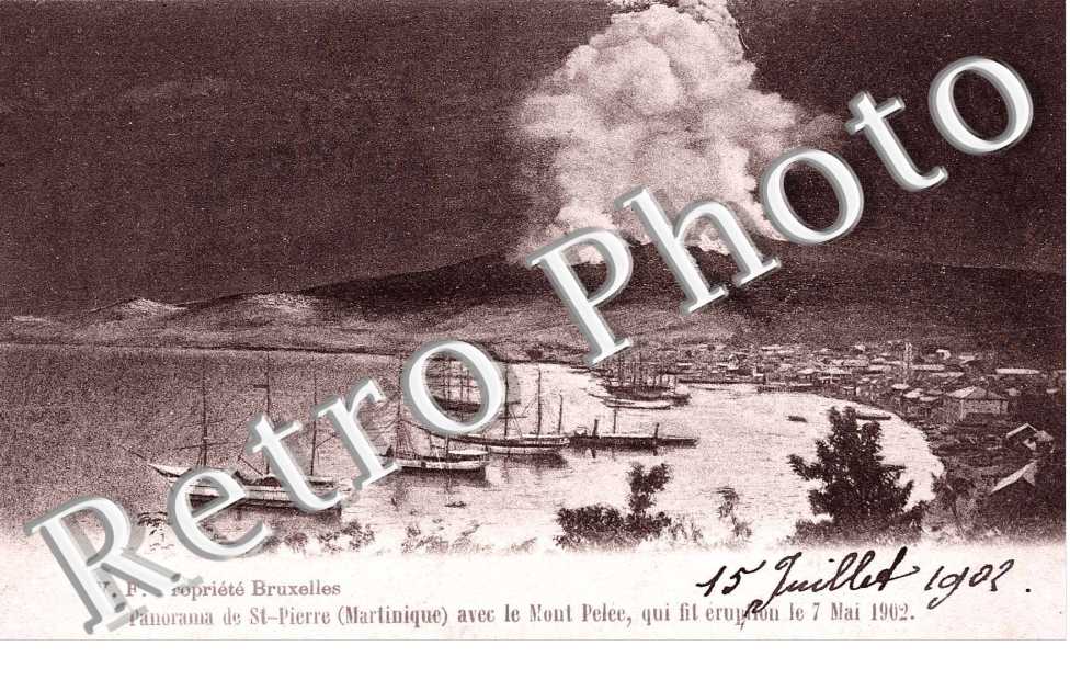 Panorama avec le Mont Pelée