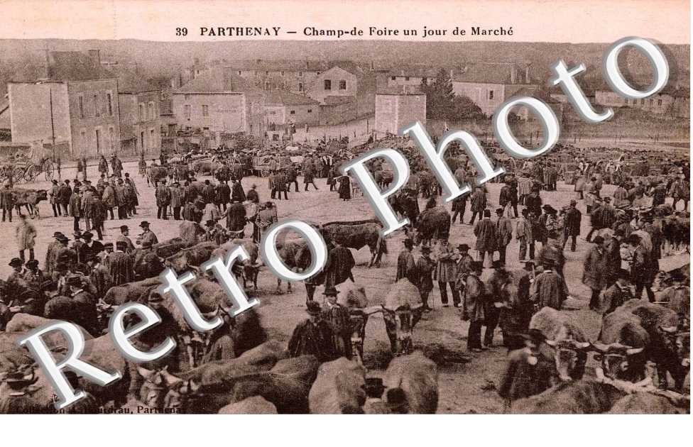 champ de foire un jour de Marche