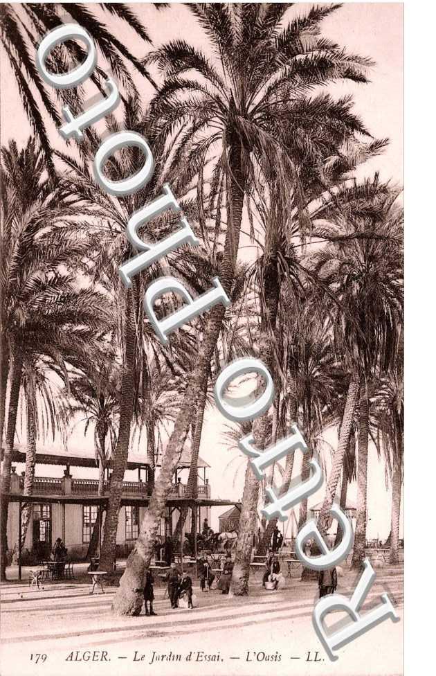 le Jardin d'Essai - l'Oasis