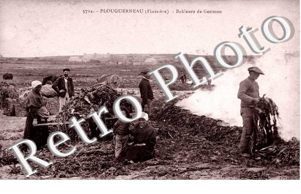 bruleurs de GoÃ«mon