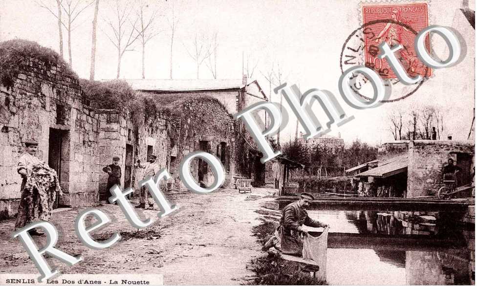 les dos d'anes, la Nouette