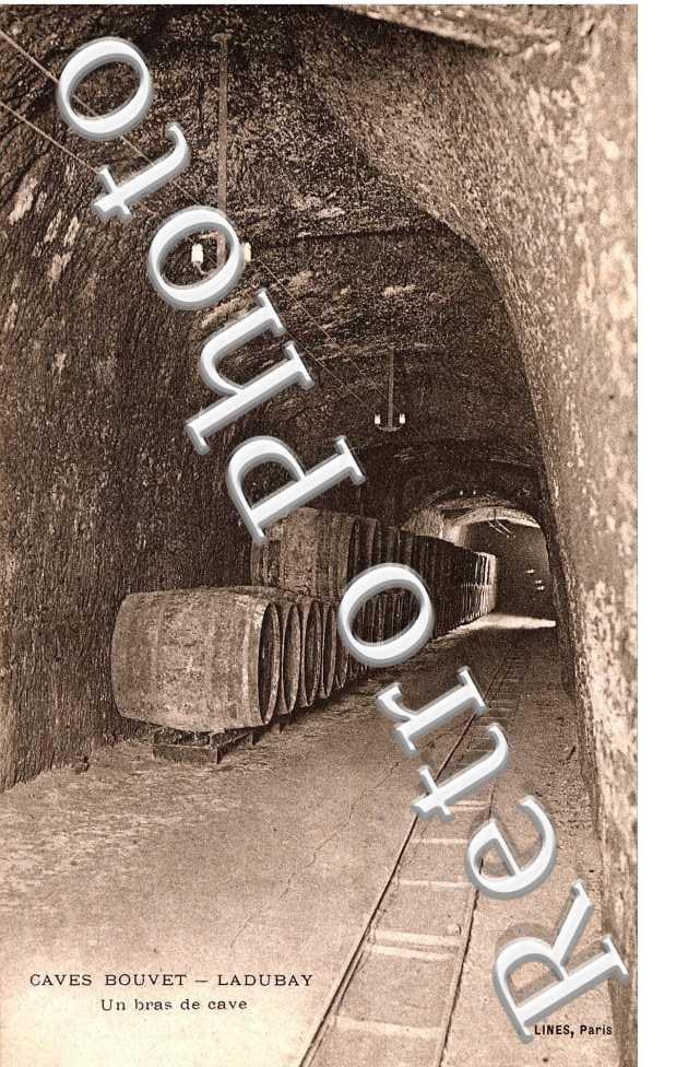 caves Bouvet - Ladubay , un bras de cave