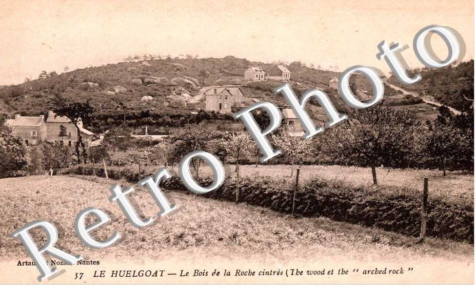 le bois de la roche cintree