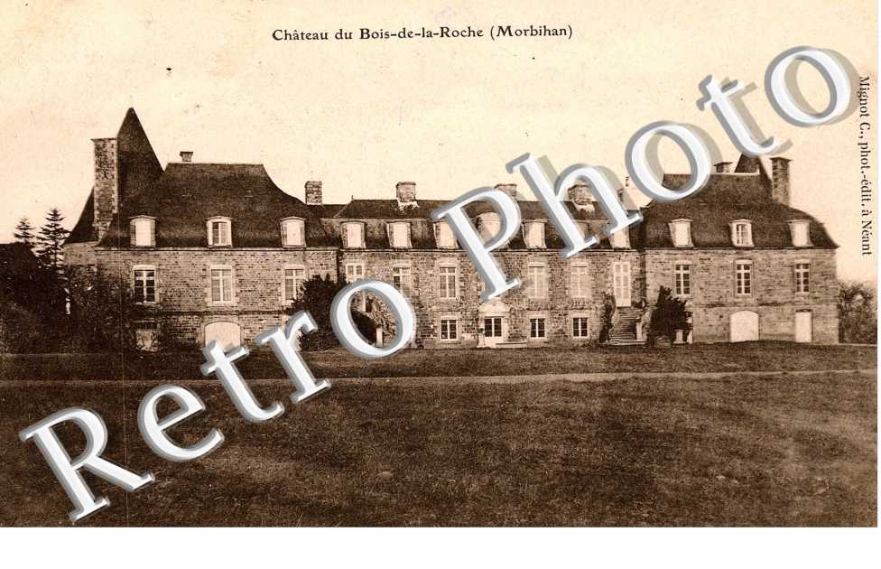 Chateau du bois de la Roche