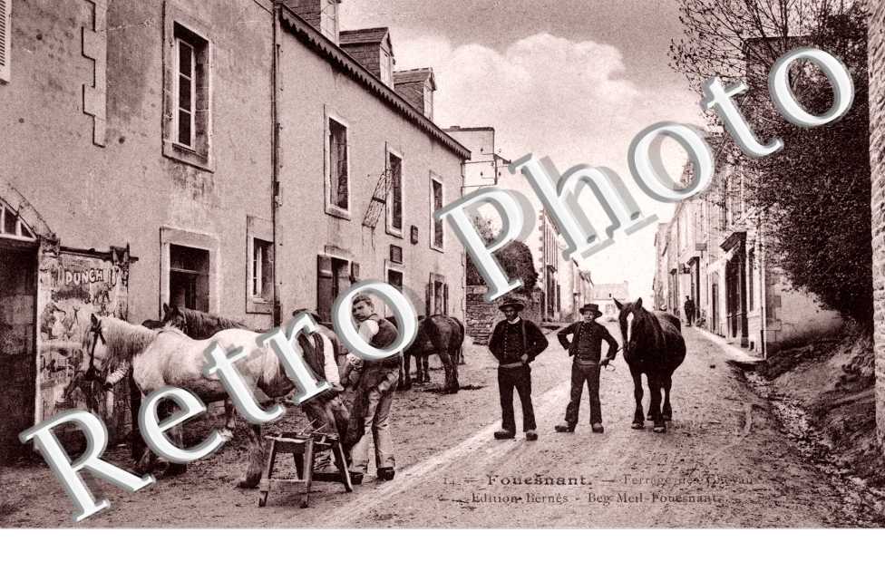 Ferrage des Chevaux