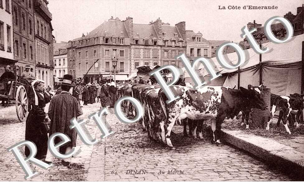 Au marché - vaches