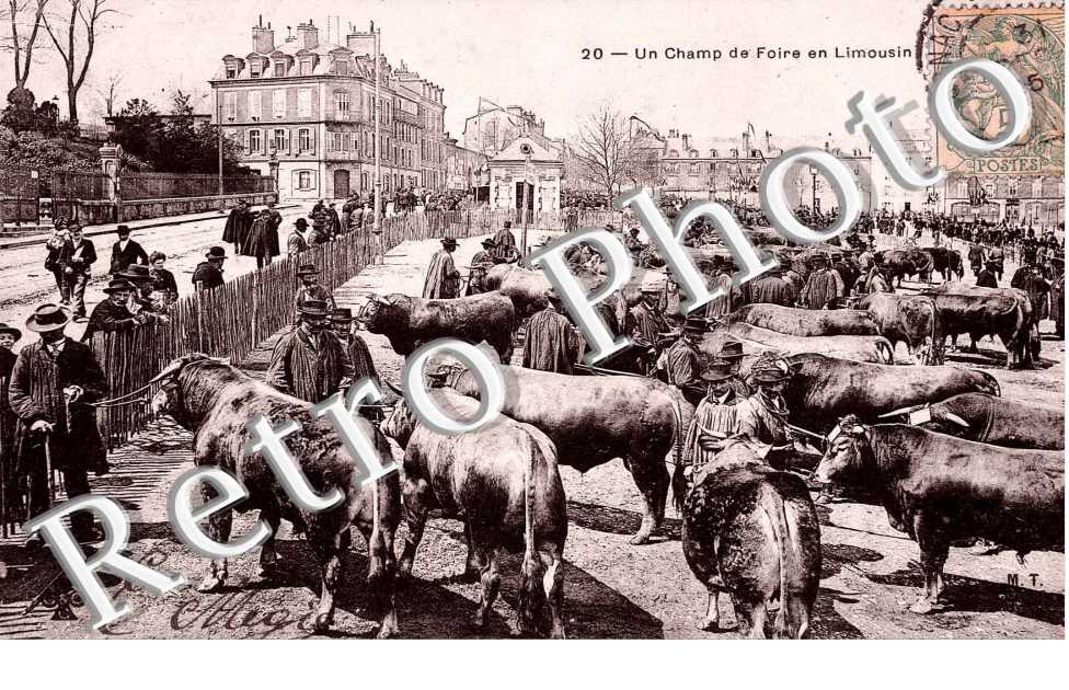 Un Champ de Foire