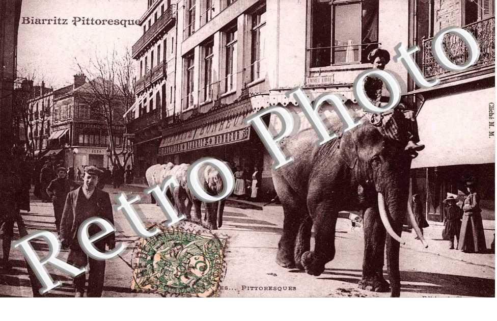 Biarritz pittoresque (Elephants)