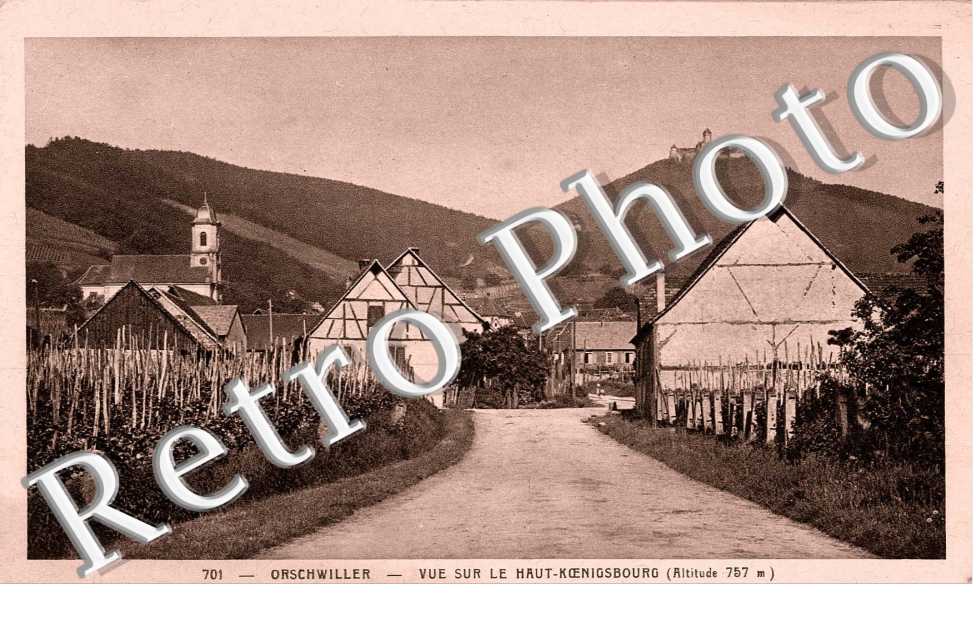 Vue sur le Haut Koenigsbourg