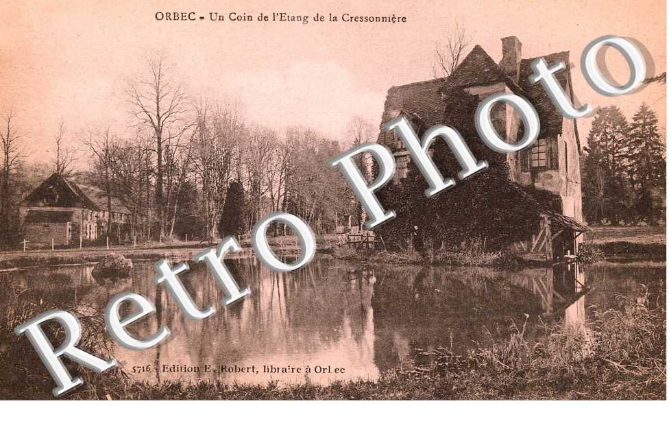 Un coin de l&#039;Etang de la Cressonniere
