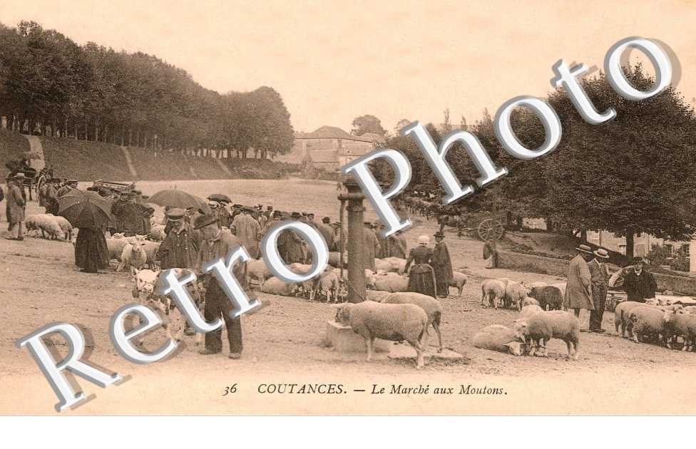 le marche aux moutons