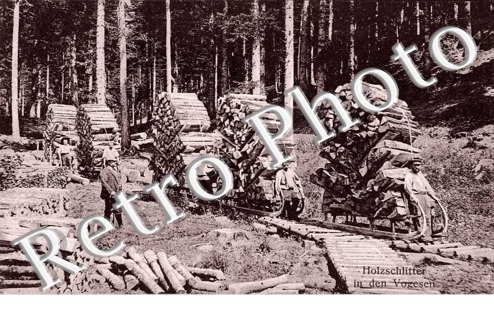 HOLZSCHITTER 