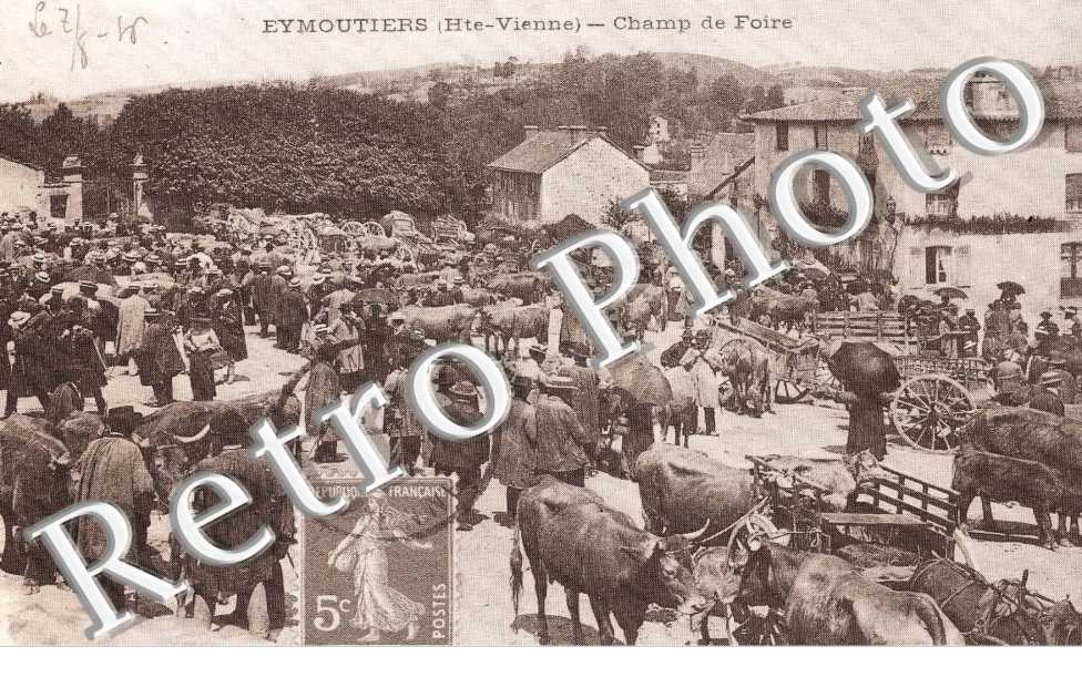 Champ de foire