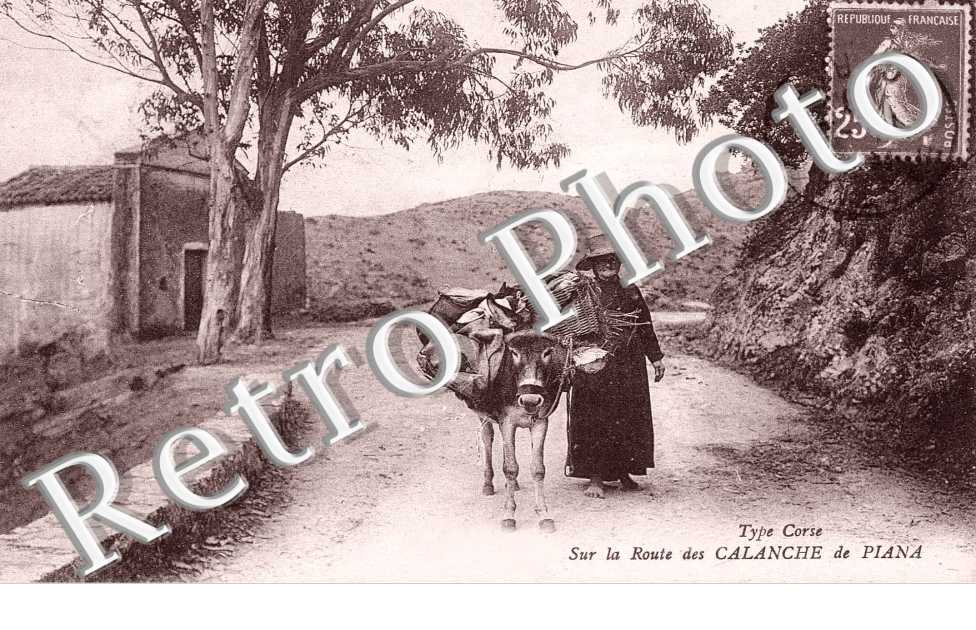 sur la route des calanche de piana (ane)