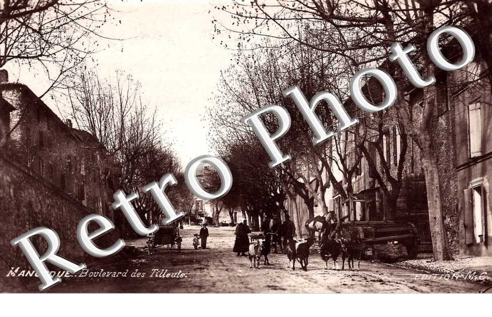 BOULEVARD DES TILLEULS