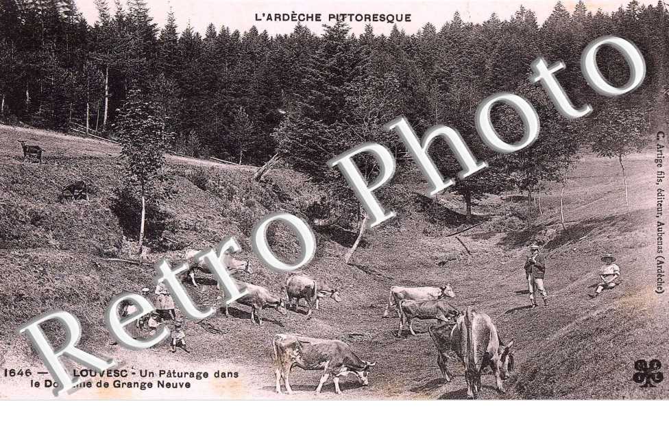 UN PATURAGE DANS LE  DOMAINE DE GRANGE NEUVE