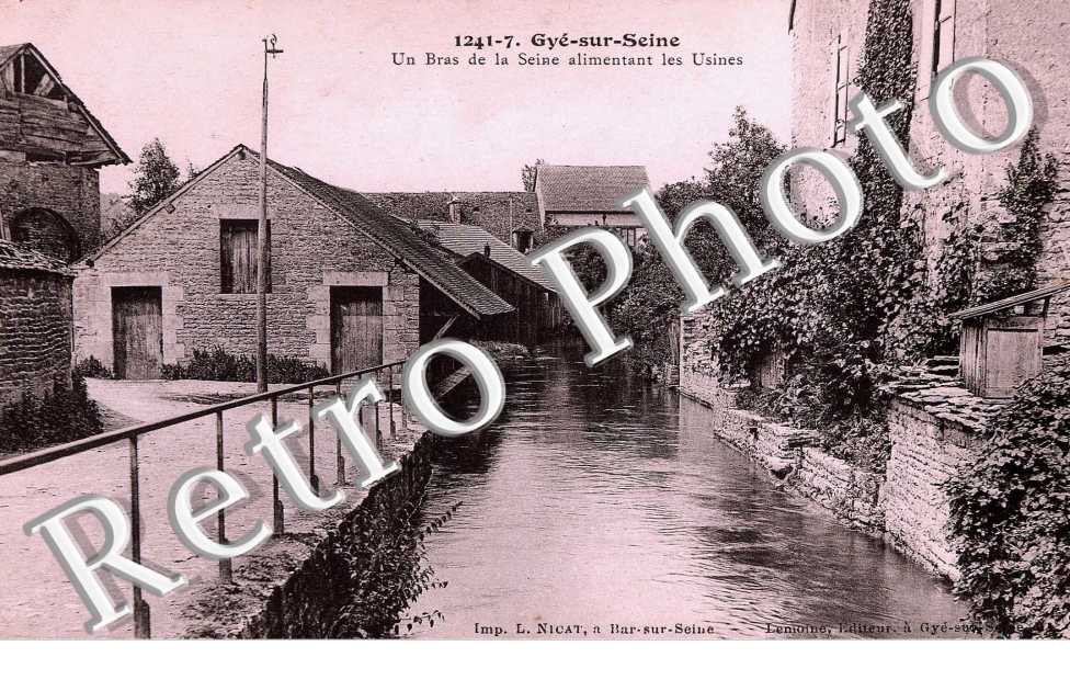 UN BRAS DE LA SEINE