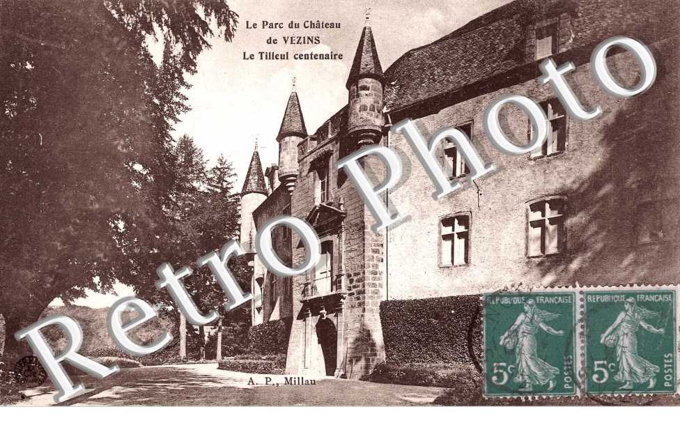 Parc du Chateau - Tilleul centenaire