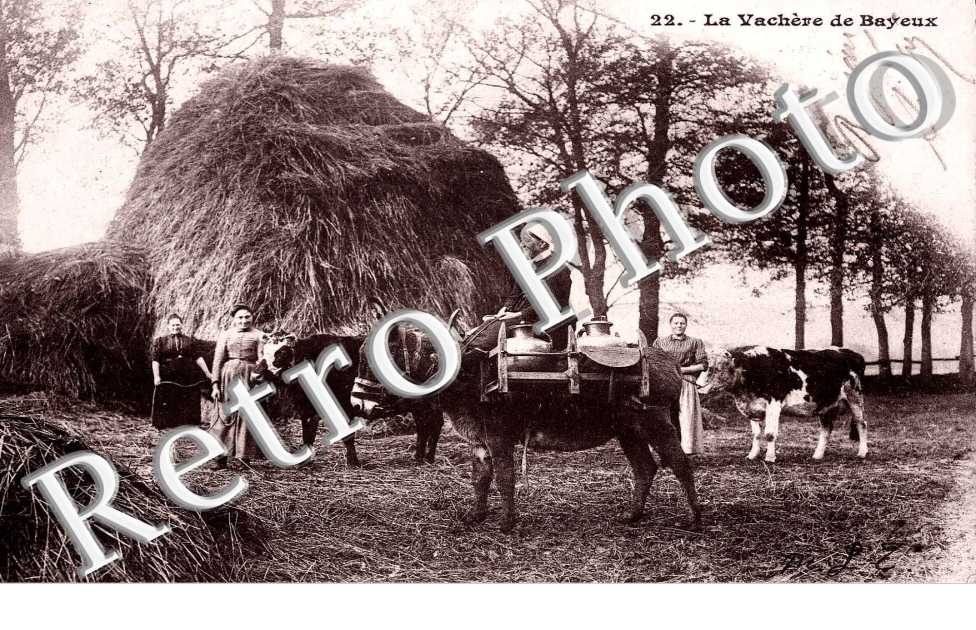 la vachere de bayeux