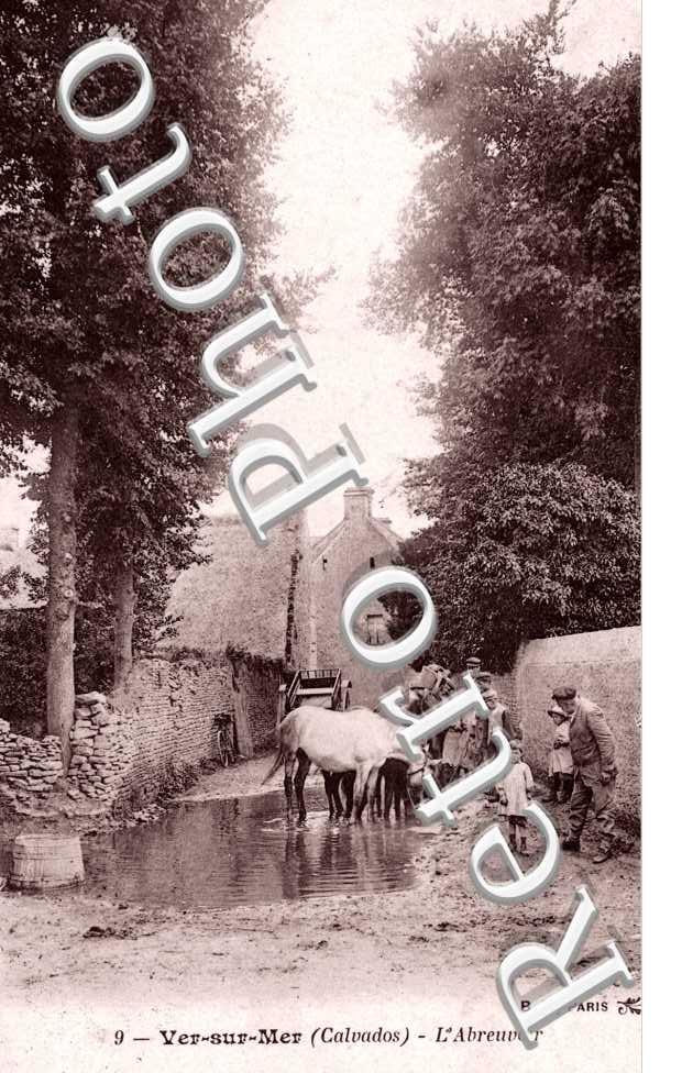l&#039;abreuvoir
