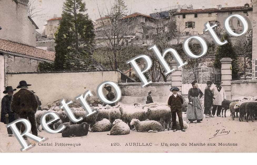 Un coin du marche aux moutons