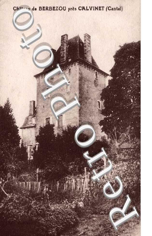 Chateau de Berbezou