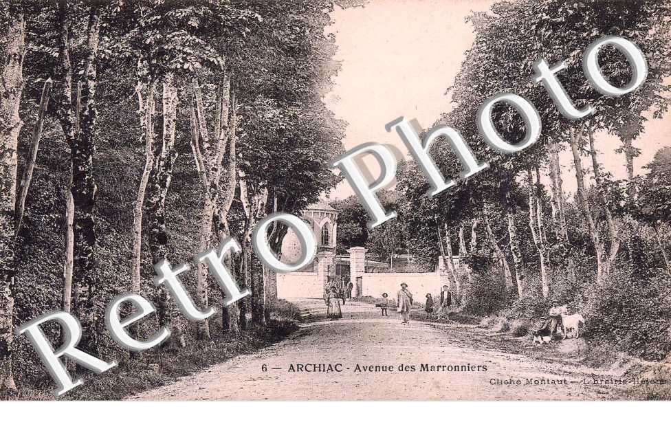avenue des Marronniers